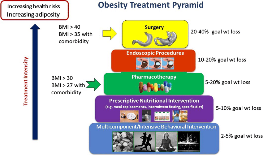 obesity-causes-treatment-and-home-remedies-the-fit-body